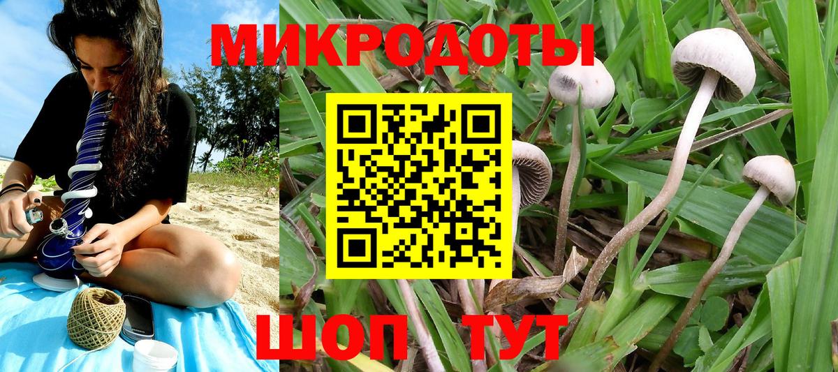 Псилоцибиновые грибы ЛСД  дарнет шоп  Галлюциногенные грибы прущие грибы  Изобильный  Вход с VPN 