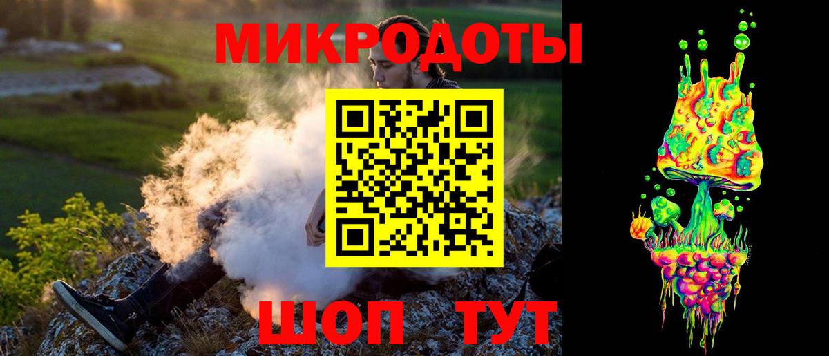 Галлюциногенные грибы Psilocybe Изобильный
